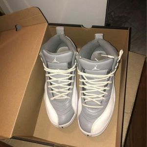 Jordan 12 retro stealth